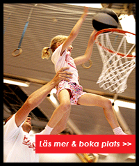 Stockholm Acrobatic Academy