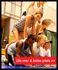 Stockholm Acrobatic Academy