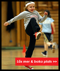 Stockholm Acrobatic Academy