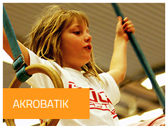 Akrobatik - Stockhom Acrobatic Academy
