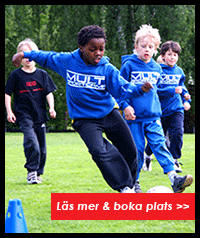 Stockholm Acrobatic Academy