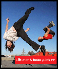 Stockholm Acrobatic Academy