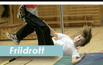 Stockholm Sport Academy